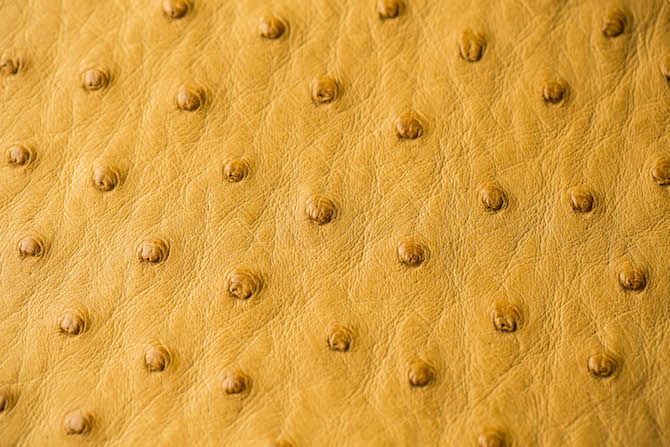 オーストリッチの表面。表面の毛穴のボツボツが最大の特徴。これは南アフリカのクライン・カルー社製。 